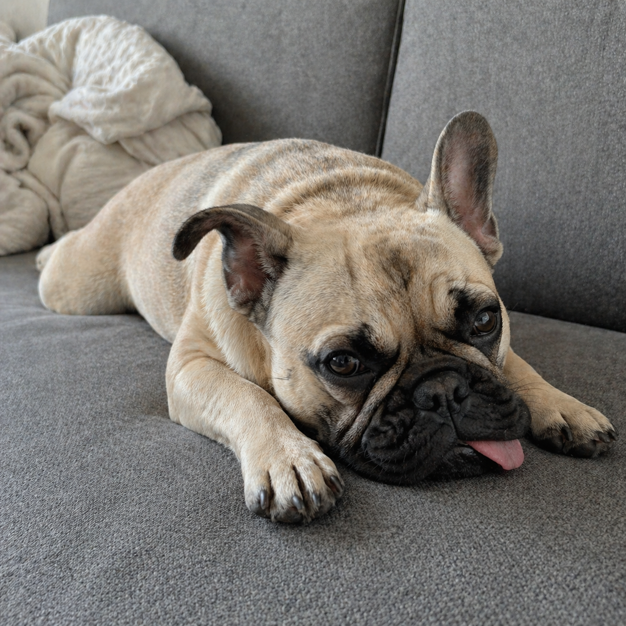 Max photo